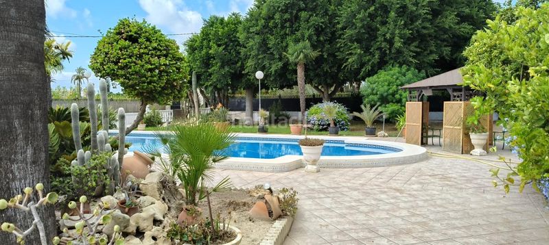 Foto 6db55f06-fef2-409f-94b2-25b5ae2a4361. Chalet imponente chalet en la hoya con piscina y amplios jardines en Elche / Elx