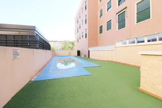 Pis a Las Bayas. Planta baja en la pedana de las bayas elche con ascensor en urb