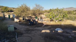 Fondo rustico in Hondón de las Nieves. Parcela con casa de aperos de 9 metros  una porchada de 24 metro