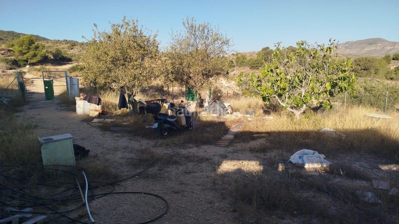 Foto fece202f-e154-45f8-9999-e9728bbc9b78. Finca rústica a Hondón de las Nieves