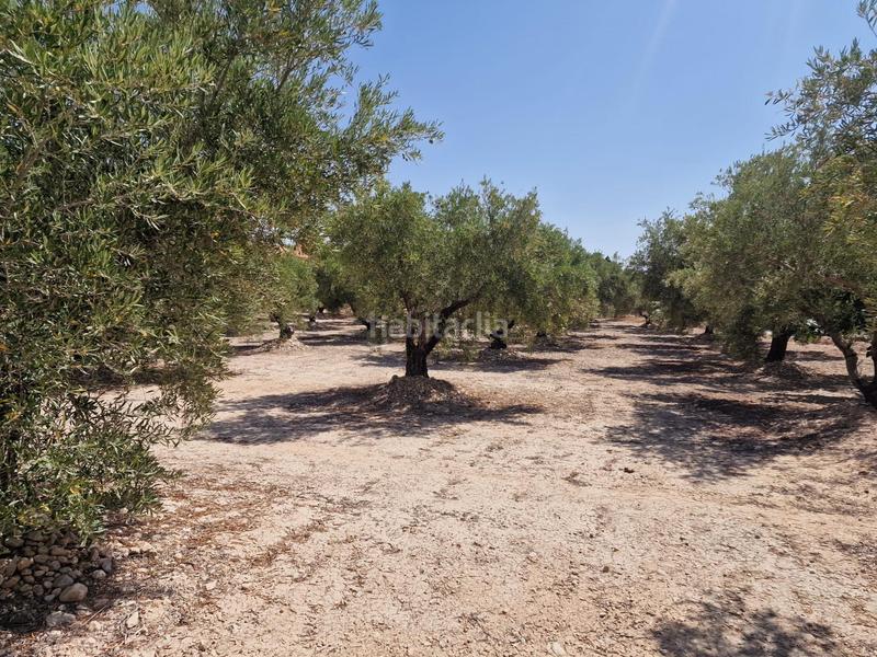 Foto 3c33380e-e5e9-4329-9265-c5a435d50b21. Propriété dans Crevillente