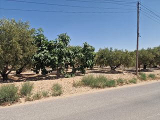 Finca rústica a Crevillente