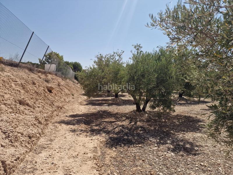 Foto bc3fba19-2c16-459a-9950-0ae7406a85b5. Propriété dans Crevillente