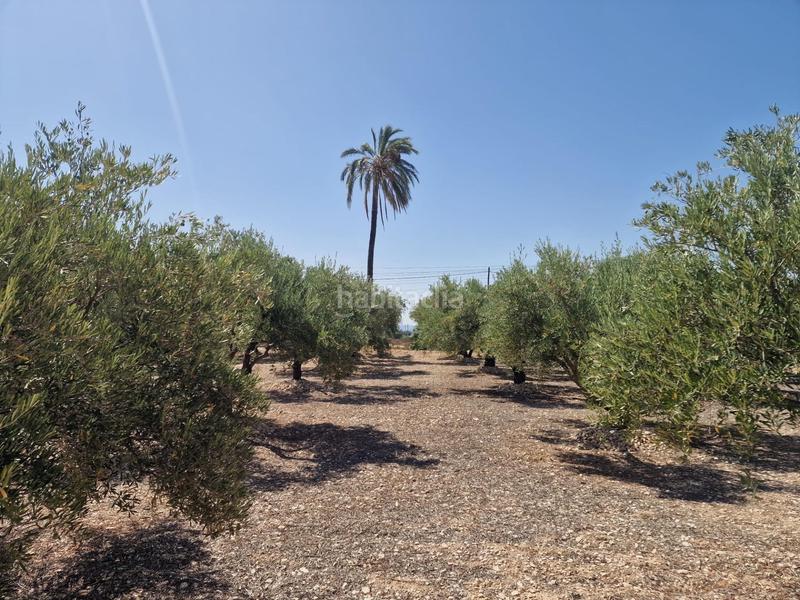 Foto e6ef1c75-d190-4e5c-996f-044cafcc9a03. Propriété dans Crevillente