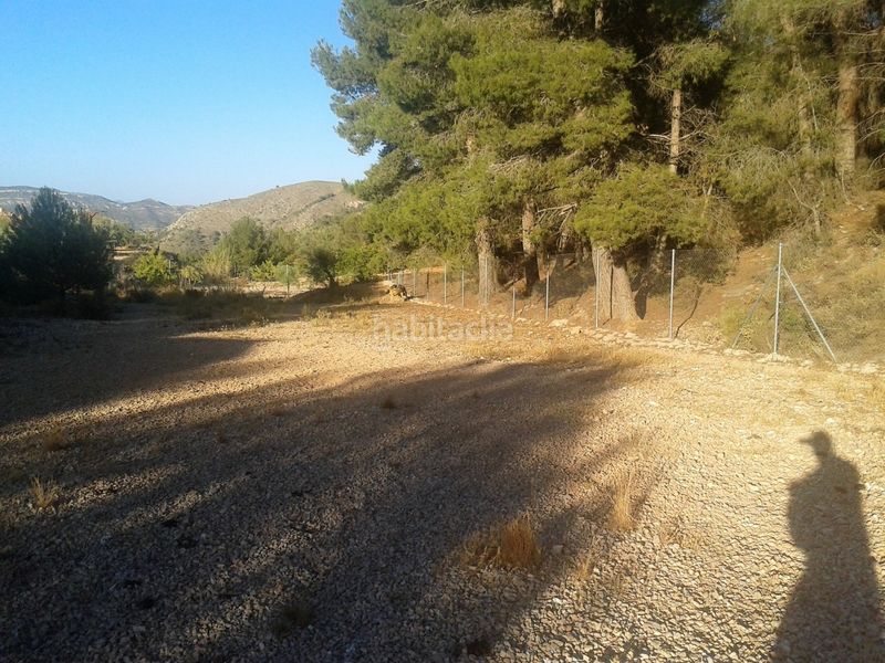 Foto 118326a5-5da0-44b9-9415-4d90ed1fd9d3. Terreny residencial a Monòver
