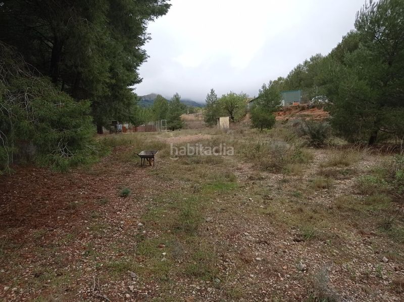 Foto 417ecdf5-ca62-45d6-9294-3b6a7ecd5179. Terreny residencial a Monòver
