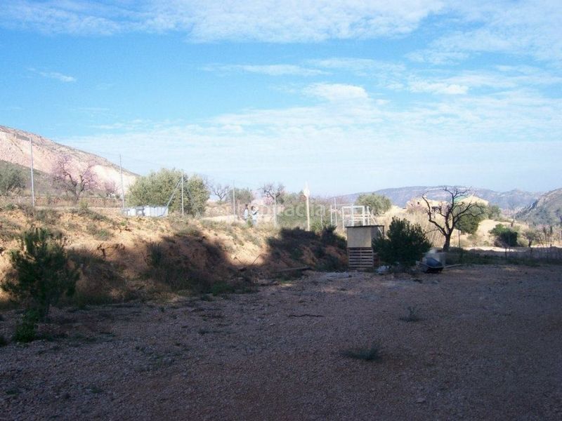 Foto 63b828a6-7378-497c-8f86-e307ddab7904. Terreny residencial a Monòver