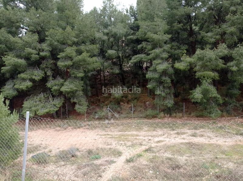 Foto ccd6bdcf-57a9-4742-882f-bc508bffd050. Terreny residencial a Monòver