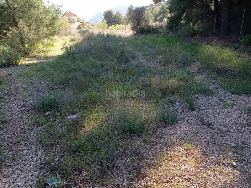 Foto d5ebde78-206e-4bb7-b64f-20d0ea55597f. Terreny residencial a Monòver
