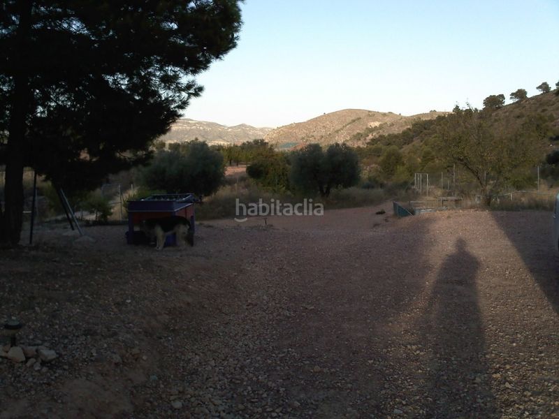 Foto de5c7e63-d917-49fc-ace2-4b54b0888849. Terreny residencial a Monòver