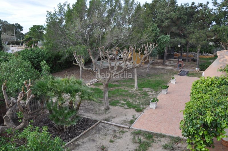 Foto 4b3d4a1b-7bb3-49d6-a181-fe01c2cc9604. Xalet amb calefacció aparcament piscina a Perleta - Maitino Elche / Elx