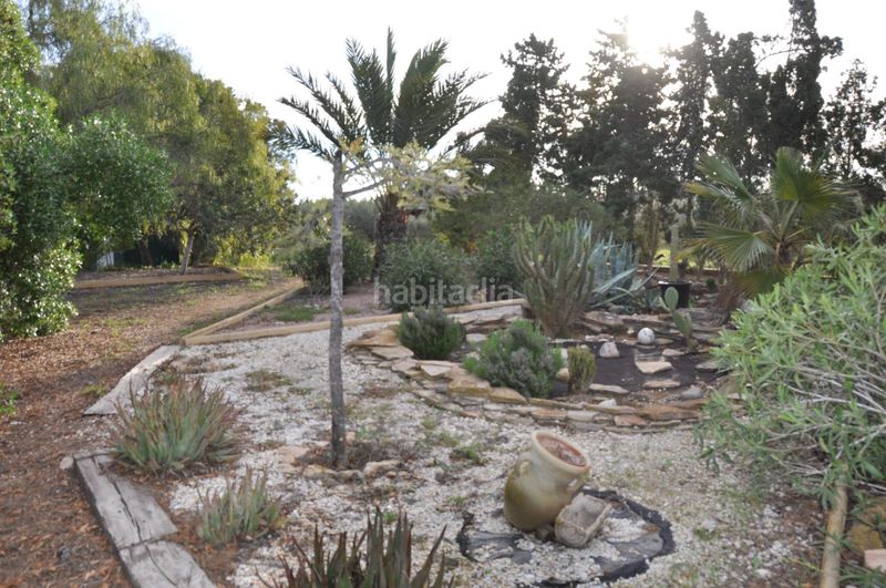 Foto a347470a-d79b-4af6-abb6-0d61367d2548. Xalet amb calefacció aparcament piscina a Perleta - Maitino Elche / Elx