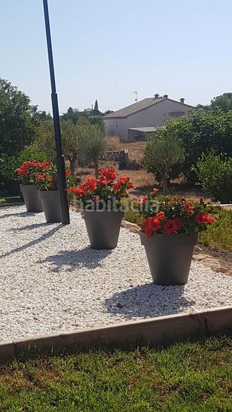 Foto af967114-9baf-49a7-950f-5e4d647675b0. Xalet amb calefacció aparcament piscina a Perleta - Maitino Elche / Elx