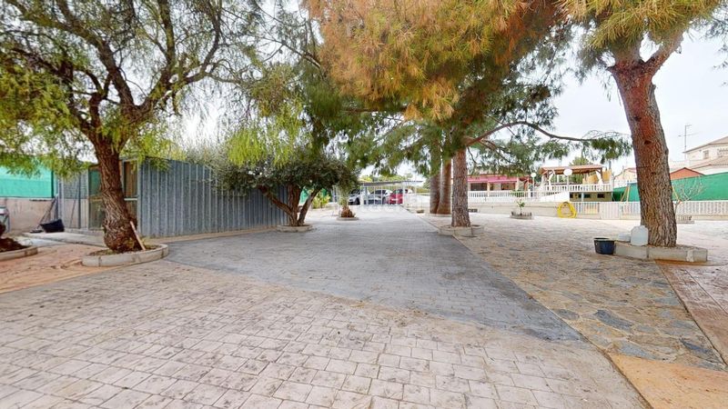 Foto dc12a989-9f4a-413d-b10d-5f72d511d01c. Xalet amb piscina a La Algoda - Matola - Llano de San José Elche / Elx