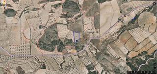 Residential Plot in Jumilla. En venta terreno rustico con almendros en produccion