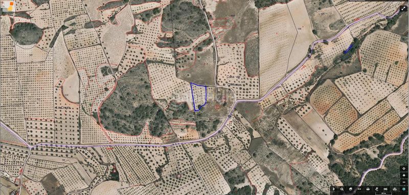 Foto 56fe85a8-4b29-4e9b-b065-9447df1574d6. Finca rústica a Jumilla
