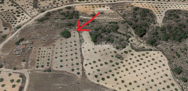 Foto d1d30800-983b-4de2-b568-1b5eefc9df11. Finca rústica a Jumilla