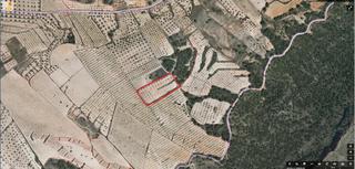 Rural plot in Jumilla. Se vende o se alquila terreno rustico con almendros en produccio