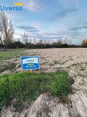 Rural plot  Camino de los aldeanos. Oportunidad de inversión terrenos de regadío y secano en aranda
