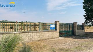 Finca rústica en Zona Rural. Terreno de 5.000m2 vallado, en aranda de duero