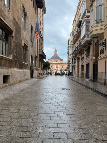 Foto dc635c5e-7731-4271-b28d-abdf8e2de6ed. Pis a calle calle pinzón a El Carme Valencia
