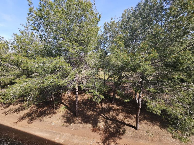 Foto 1f732eb9-2202-4d32-9ca8-24228479baf3. Pis a plaza plaza cueta blanca a Torre en Conill-Cumbres de San Antonio Bétera