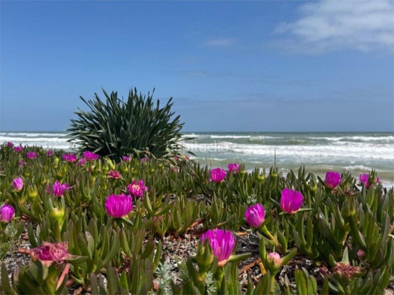 Foto 63e70e9b-2c0b-48b6-a6f7-174f000811c4. Casa adossada a calle calle cap de canet a Mareny de Barraquetes Sueca