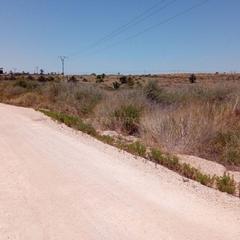 Residential Plot in El Altet