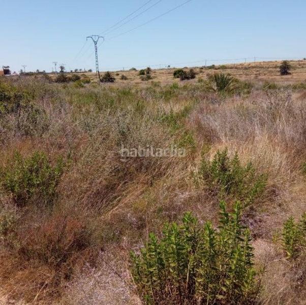 Foto 143452c9-a3f7-4f2a-ab52-b9fad2d6e83b. Solar industrial en altet terreno en El Altet Elche / Elx