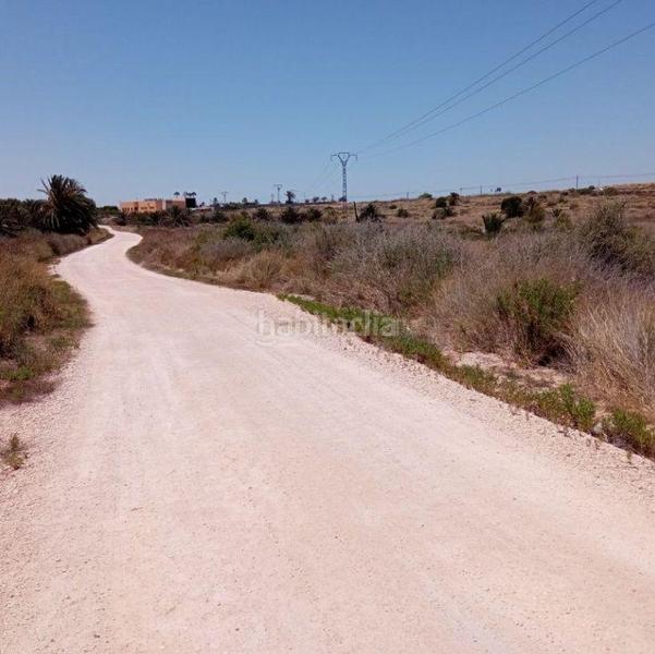 Foto 207ea8cf-7126-45ac-9768-bf4776cacf4a. Solar industrial en altet terreno en El Altet Elche / Elx