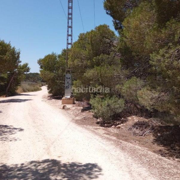 Foto 54c45b0f-5e5d-40c2-bbbd-cfac61e31779. Solar industrial en altet terreno en El Altet Elche / Elx