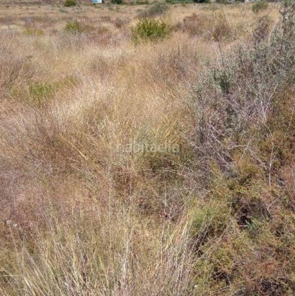 Foto 6187095c-32ce-48ea-b07c-e898488e3959. Solar industrial en altet terreno en El Altet Elche / Elx