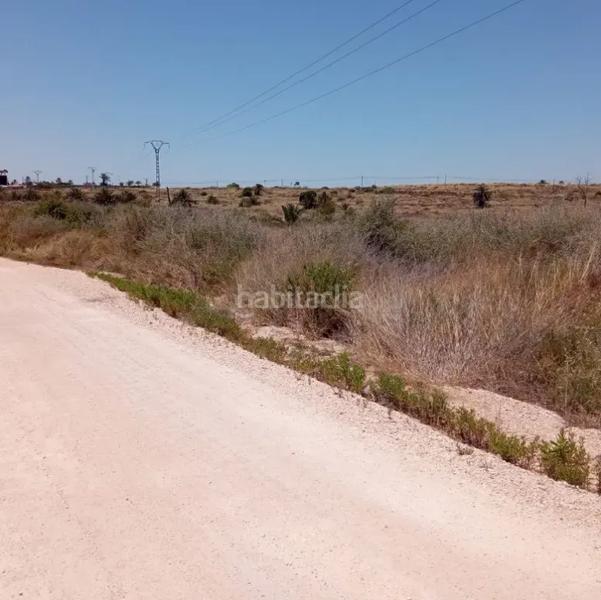 Foto 6b652a53-9d6c-44b5-bb6b-a085f10e7f7e. Solar industrial en altet terreno en El Altet Elche / Elx