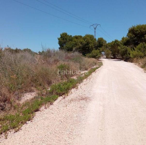 Foto ab29579e-fc6c-4a6a-a394-be9c852ef3b3. Solar industrial en altet terreno en El Altet Elche / Elx