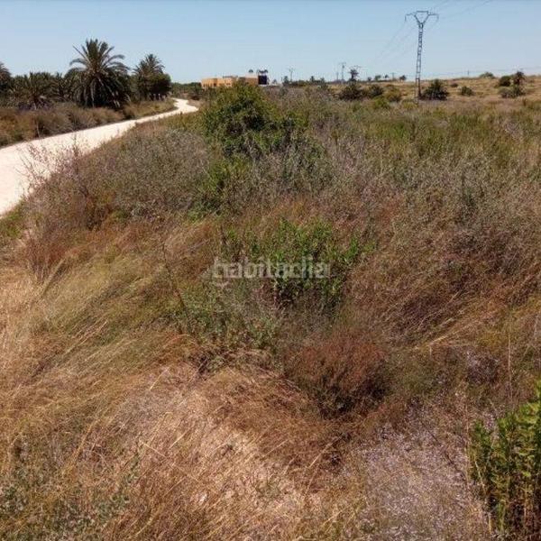 Foto b555437f-4548-4994-b940-82934f7e3828. Solar industrial en altet terreno en El Altet Elche / Elx