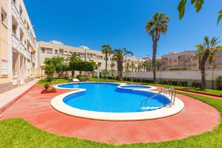 Apartament a Calle patricio zammit, 67, torrevieja, spain. Estudio reformado en planta baja con piscina comunitaria