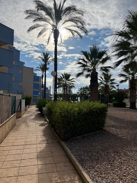 Foto 41243eab-de48-4da6-847a-01629df0ae6d. Miete etagenwohnung mit parking pool in Aguamarina Orihuela