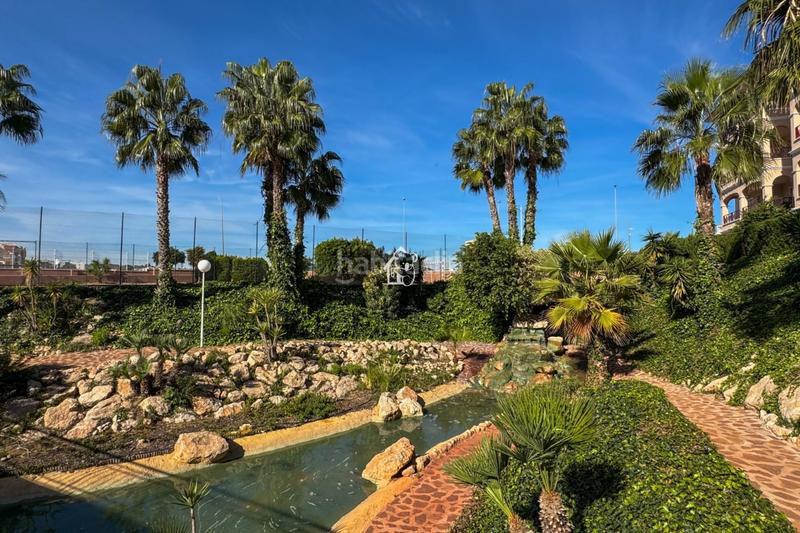 Foto 417a809a-32db-4e82-a0c1-078112bd37e8. Rent flat with pool in Playa Flamenca Orihuela