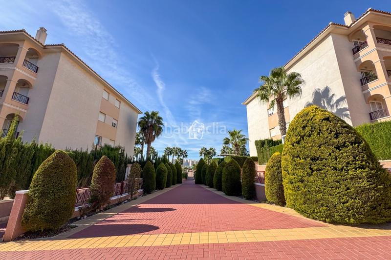 Foto e624771d-0c31-4512-823a-d4bbe1a741ba. Rent flat with pool in Playa Flamenca Orihuela