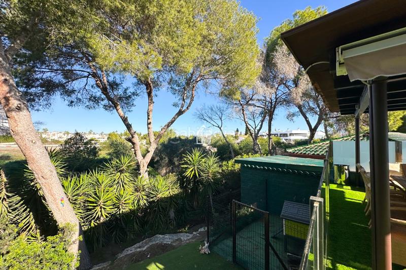 Foto 991bbb9a-20a9-4fc0-8e96-c2f4944ae82c. Maison avec parking piscine dans Lomas de Cabo Roig - Los Dolses Orihuela