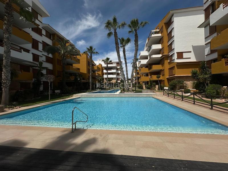 Foto 722208fe-9514-4343-977a-ce12376e80db. Rent ground floor with parking pool in Punta Prima Orihuela