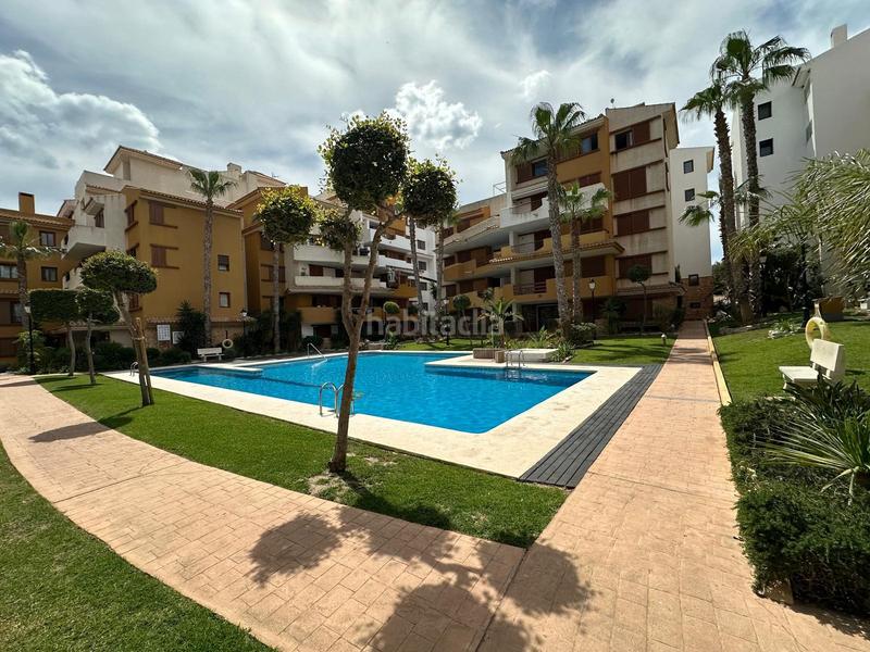 Foto 96e2b4c3-1f7a-43d8-85e3-73179c001ce7. Rent ground floor with parking pool in Punta Prima Orihuela
