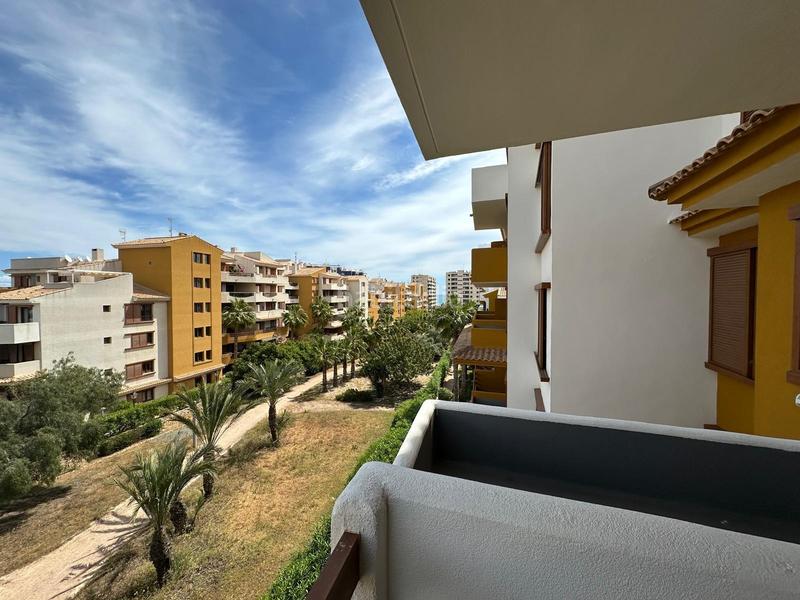 Foto 97b86bf7-00a4-40b5-b811-2834cc317a2f. Rent ground floor with parking pool in Punta Prima Orihuela