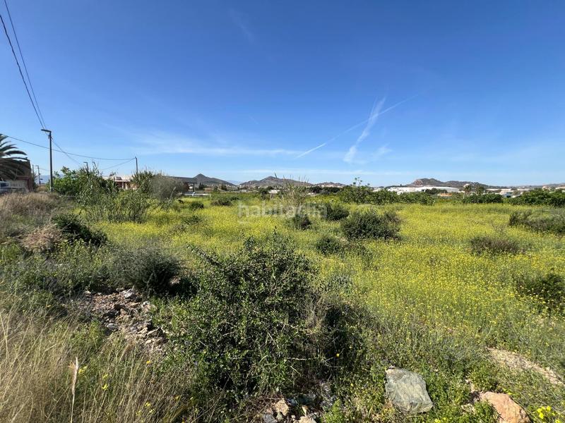 Foto be5263bf-b0e9-4057-b399-cc0ad9ca94d6. Rural plot in Cobatillas Murcia