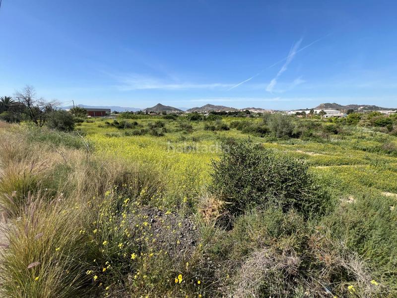 Foto 110d23a6-a3d5-402b-9109-670c371bbb1e. Finca rústica en Cobatillas Murcia