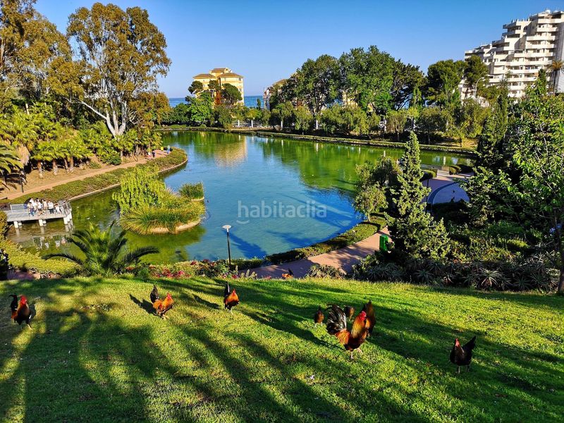 Foto 485ed239-8eb6-4a75-9fee-fa7d6f089817. Estudi amb calefacció aparcament piscina a Solymar Benalmádena