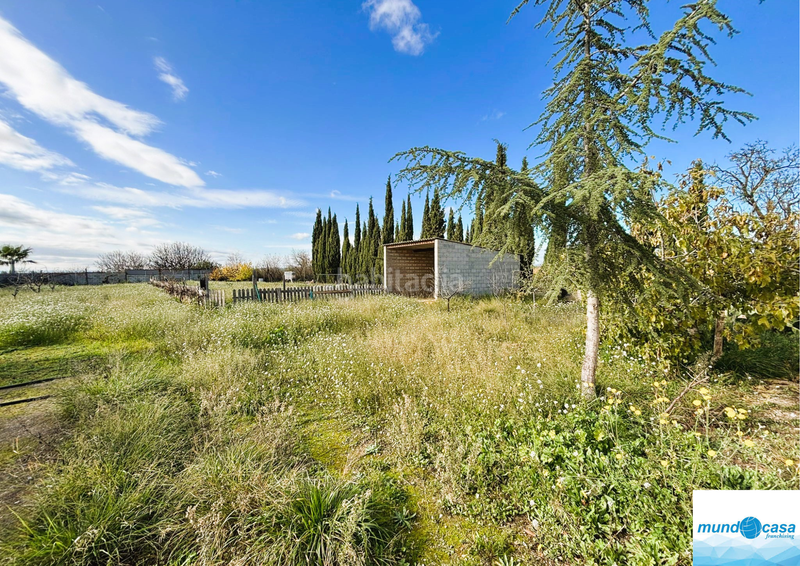 Foto 1c0c7e67-f08a-4e35-a3c5-ef69d7b5ab8c. Country house with parking in Peñaflor Zaragoza