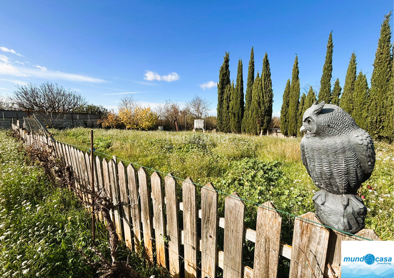 Foto 528ae7a7-d828-458a-9bc4-f779216266c3. Country house with parking in Peñaflor Zaragoza