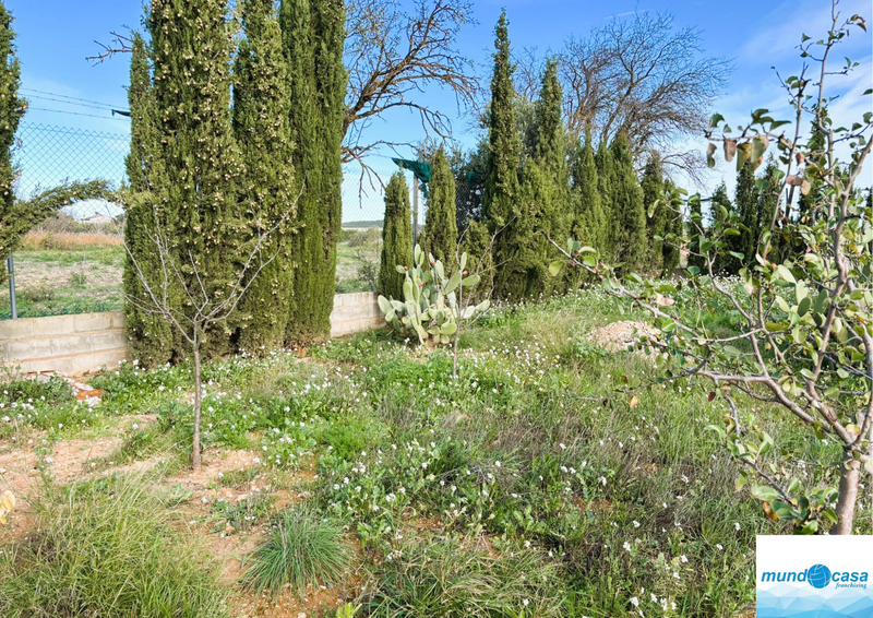 Foto bf0ac3fc-cfd4-4d21-b17d-4c135d62c13e. Country house with parking in Peñaflor Zaragoza