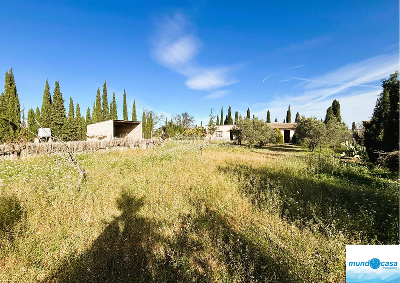 Foto e6ba5b26-d599-49c4-967c-0b212ead97ee. Masia amb aparcament a Peñaflor Zaragoza